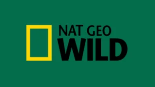 Nat Geo WILD Online